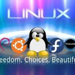 15个适用于Linux的最佳安全工具
