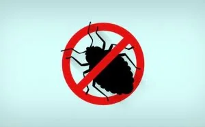 调查：新漏洞的出现速度比安全团队的修复速度更快