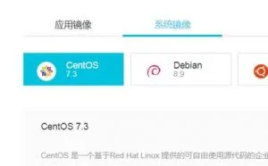 阿里云VPS安装纯净linux系统并安装BBR加速的方法