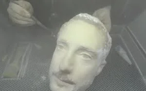 手机人脸识别被 3D 打印人头破解了，你还敢用吗？