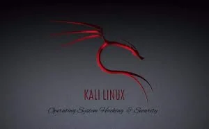 黑客都在用的操作系统之Kali Linux操作系统的安装