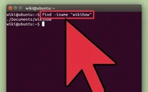 3种方法来在Linux电脑上查找文件