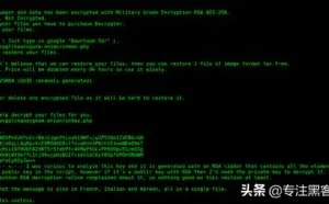 Pylocky勒索软件的受害者