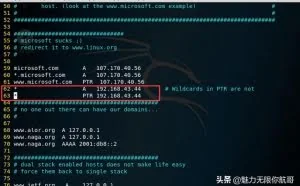 kali 黑客必备系统之DNS拦截篇