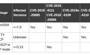 Secure Copy Protocol 曝出有 35 年历史的漏洞