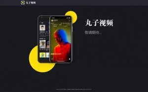 快播王欣新社交APP“丸子视频”曝光 支持弹幕