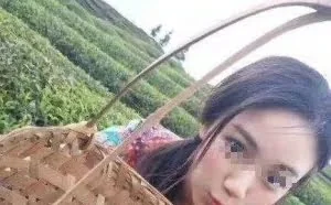 “卖茶女”式诈骗频出，精准打击需“产品经理思维”