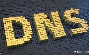DNS协议——网络世界的地址簿