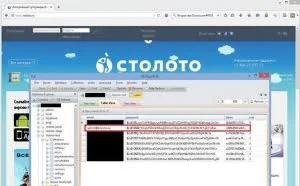 泄露的MongoDB数据库 曝光了克里姆林宫的大量后门账号