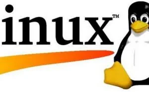 程序员必须掌握的24个Linux常用命令！