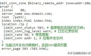 详解Nginx 对访问量的控制