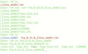 frp让你轻松实现内网穿透