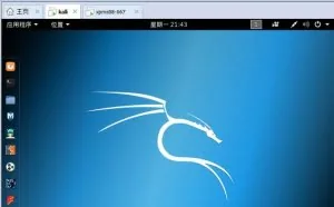 怎样利用Ms08-067漏洞进行攻击？