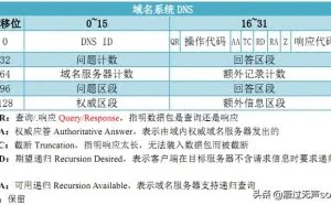 Wireshark网络协议分析：图文解读域名解析协议DNS