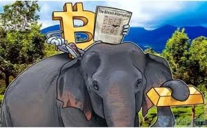 暗网系列之：比特币、暗网和印度
