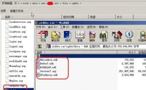 从敏感文件泄露到获取webshell
