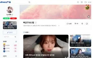 放弃维棠和硕鼠吧，有了它一网打尽互联网所有视频