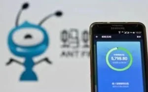 揭秘“疯鱼”席欢案：一个95后三个QQ号 团伙两年诈骗近亿元