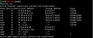 岂止于ping-18个必备Linux网络连接命令，助你掌控黑客行踪！
