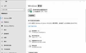 “立即下载并安装”更新选项首次在Windows 10中出现