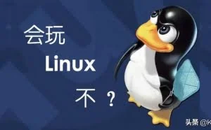 网易招聘Linux运维工程师真题，大公司到底都考你什么？