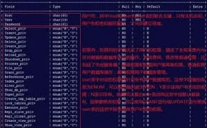 一文看懂mysql用户及权限管理