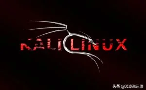 分享10大白帽黑客专用的 Linux 操作系统