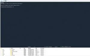 免费的XShell替代品，又一国产良心工具——FinalShell