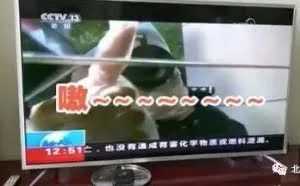 电视机半夜“鬼哭狼嚎”，还会自动开机！北京这一家子被吓坏了