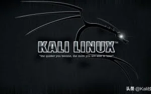 Kali Linux学习篇：使用Metaspoit生成控制端