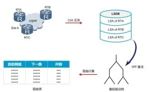 链路状态路由协议(OSPF)