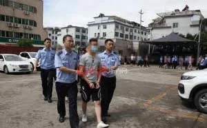 丽水“高智商”团伙利用网络漏洞疯狂敛财，涉案价值3个亿