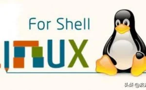 超实用的shell脚本--一键获取进程所有信息