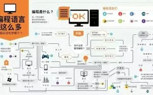 编程小白入门应该选Java、Python还是C语言？一张图告诉你