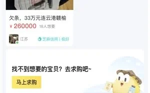 闲鱼出现26万天价欠条：面值33万
