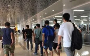“黑客+卧底”窃取信息诈骗？龙岗警方兵分五市抓获13名涉案嫌疑人