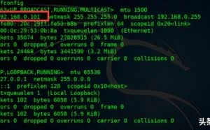 Kali Linux实战篇：使用Msfvenom生成木马实现远程控制安卓手机