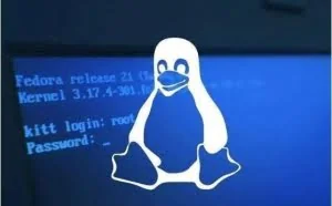 Golang恶意软件重出江湖，数千台Linux服务器遭攻击