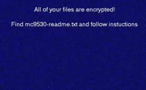 不需要受害者点击钓鱼链接的勒索软件：Sodin