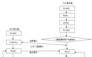 基于 Socket 的 UDP 和 TCP 编程介绍