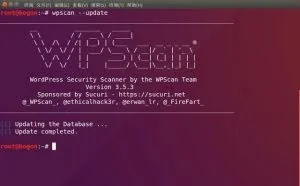 kali黑客系统wpscan工具扫描wordpress漏洞入侵攻击测试教程
