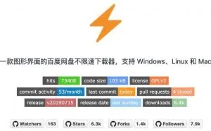 百度网盘不限速下载器--支持 Windows、Linux 和 Mac
