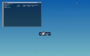 不容错过的 5 个微型 Linux 发行版