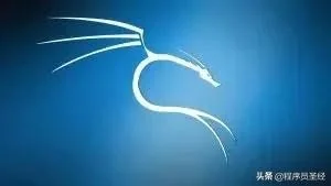 安全研究人员最爱的12款Linux发行版