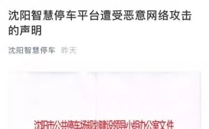 智慧停车平台自曝遭大规模网络攻击，网友：咋不说你们“只收费不负责”