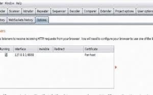测试人员渗透测试必备技能-Burpsuite