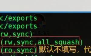 Linux中共享（NFS）服务器实践练习及挂载总结