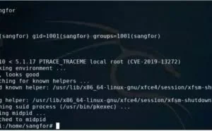 【漏洞预警】Linux提权漏洞CVE-2019-13272
