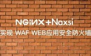 Nginx 安装 Naxsi 模块实现 WAF WEB应用安全防火墙的功能