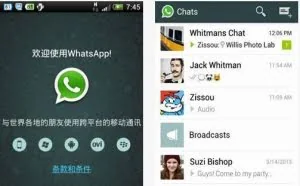 Facebook旗下产品曝严重安全漏洞，网络安全问题急需解决